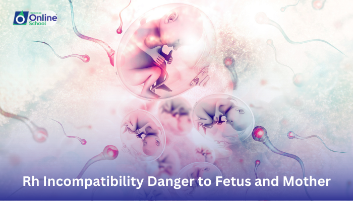 Lesson 16: Justification of Rh Incompatibility Danger to Fetus and Mother